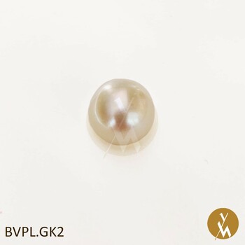 Bivaco Pearl (BVPL.GK2)