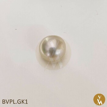 Bivaco Pearl (BVPL.GK1)
